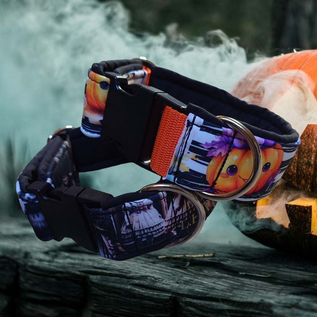 Oktober NEWs
