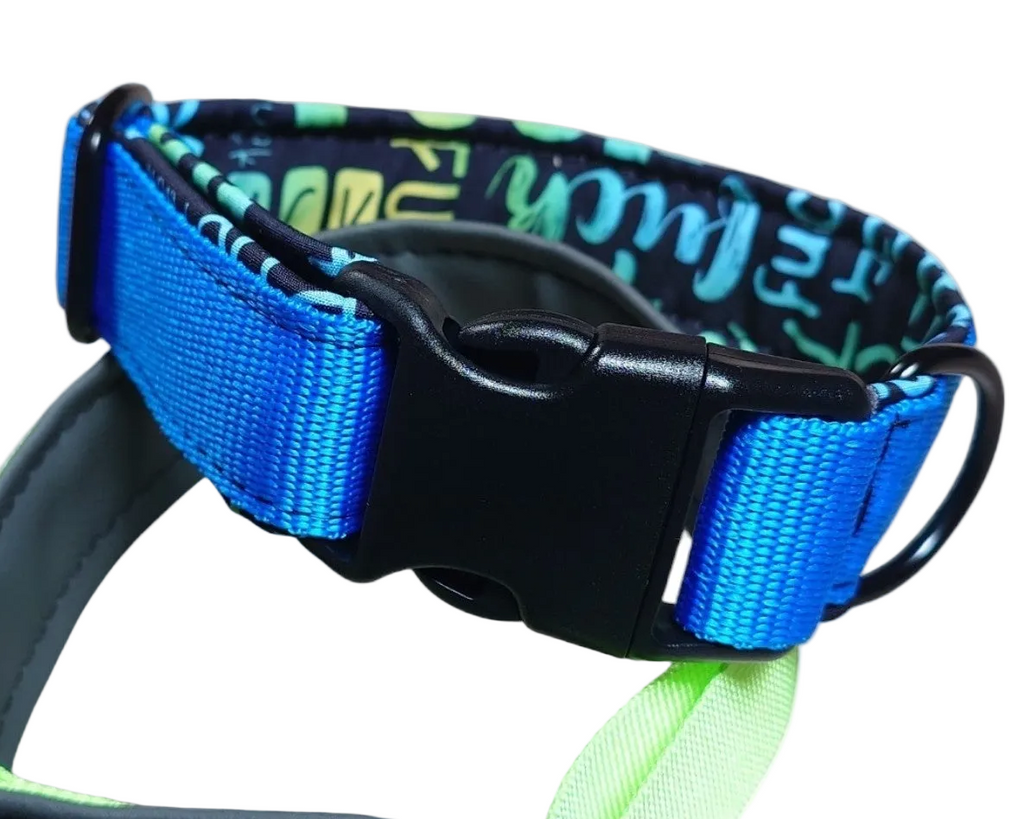 Steckschnallenhalsband "Comfort"  3 cm Breit + Personalisierung