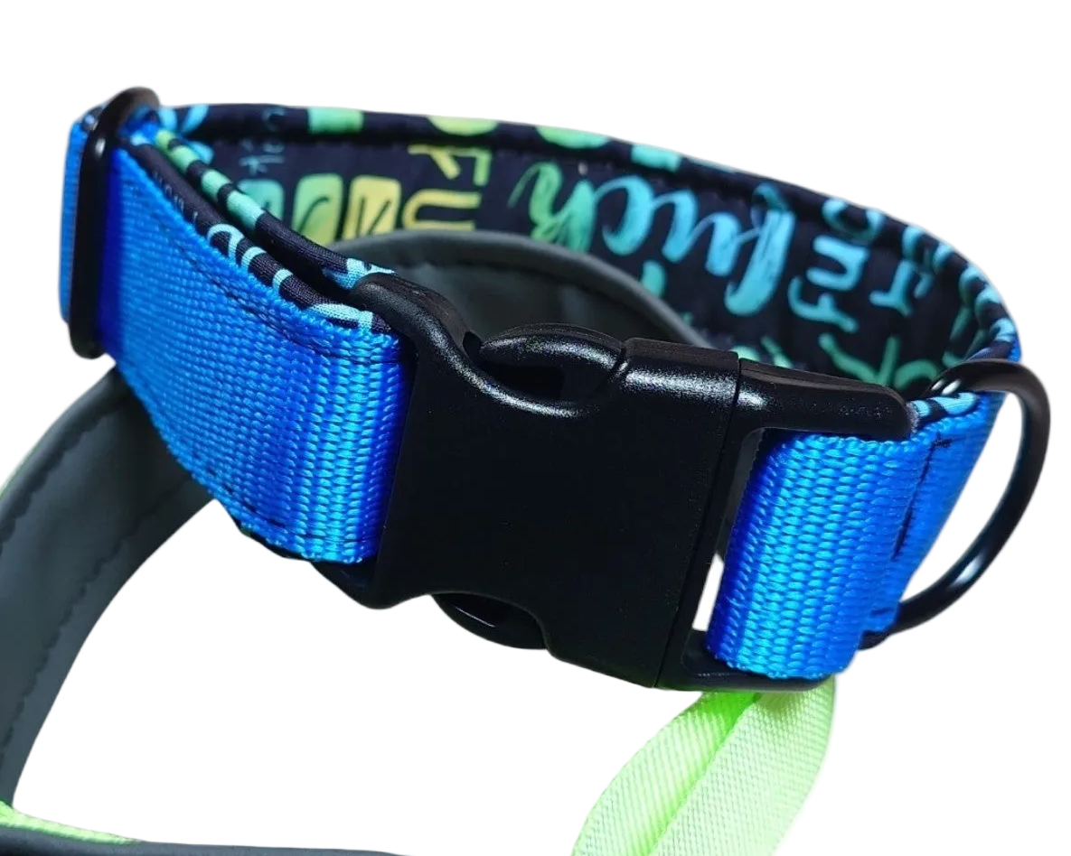 Steckschnallenhalsband "Comfort"  3 cm Breit + Personalisierung
