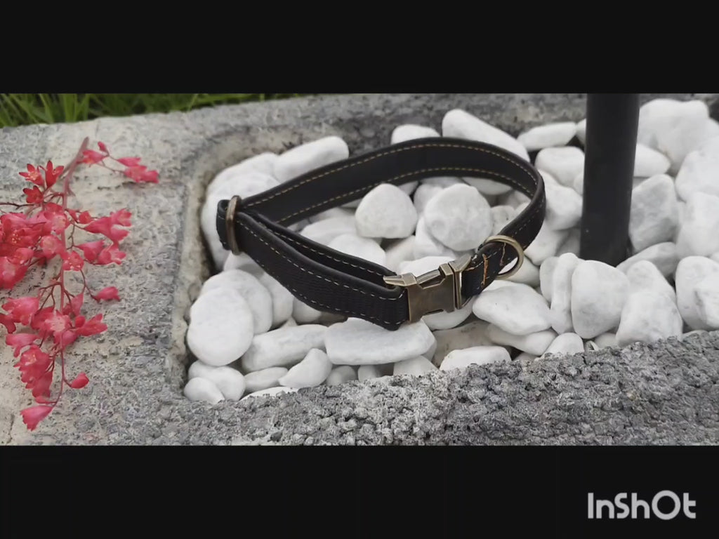 Steckschnallenhalsband Hund  1,6cm Breit + Personalisierung