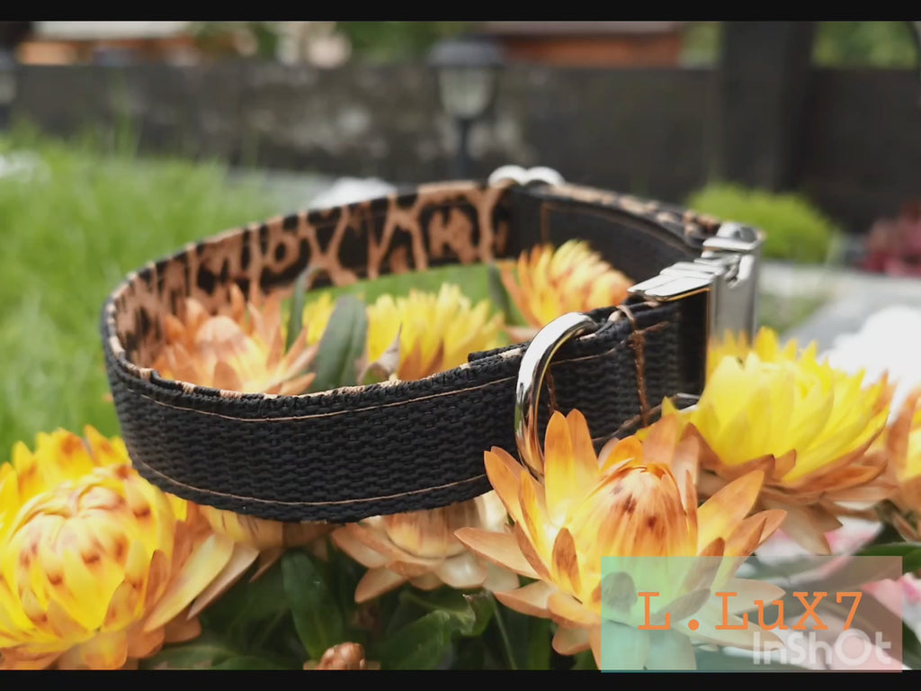 Steckschnallenhalsband Hund  2cm Breit + Personalisierung