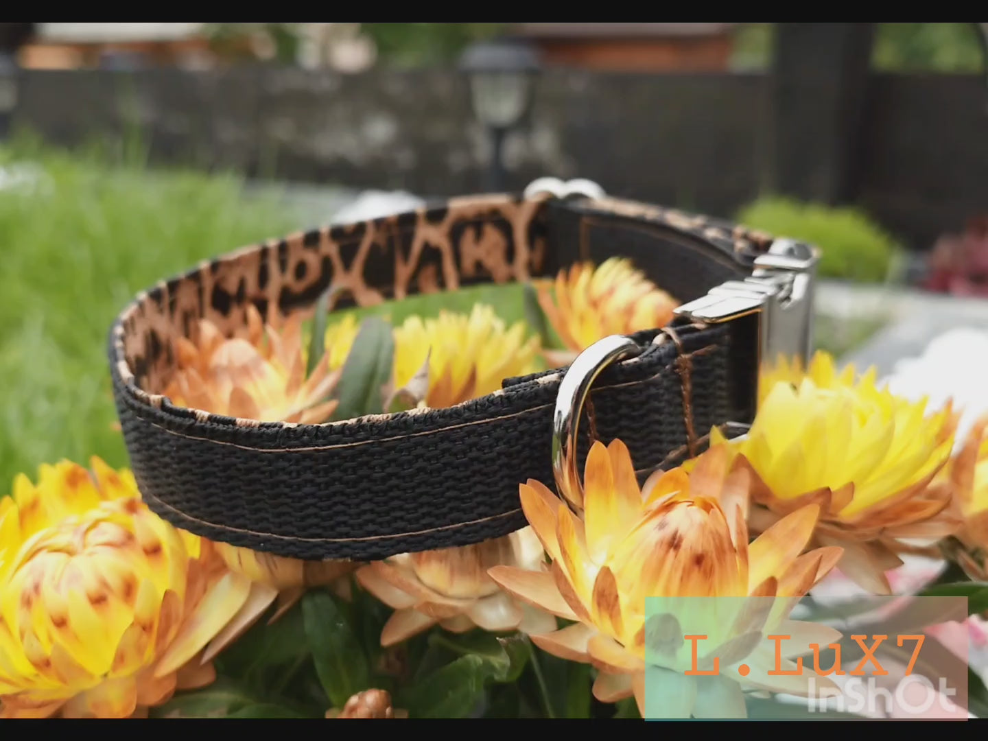 Steckschnallenhalsband Hund  2cm Breit + Personalisierung