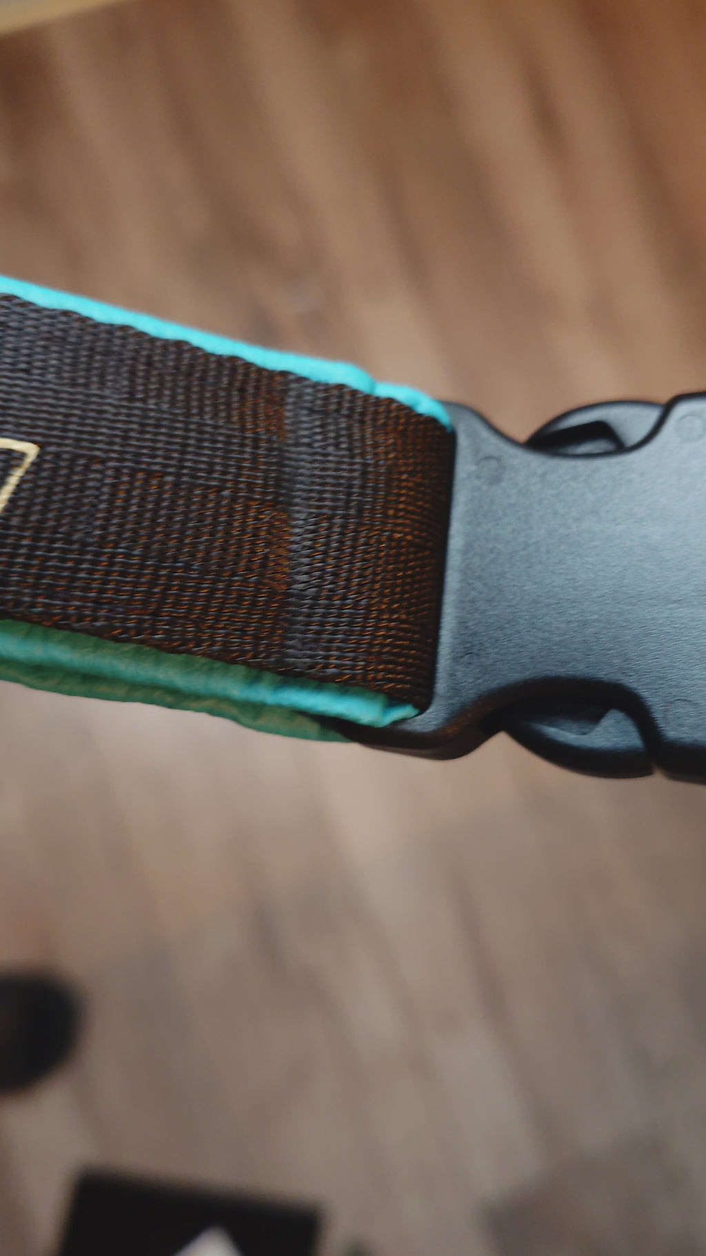 Hundehalsband mit Kunststoffschnalle "Aktiv" + Personalisierung