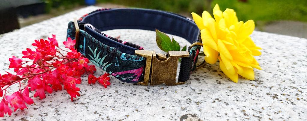 Steckschnallenhalsband Hund Sommeredition + Personalisierung