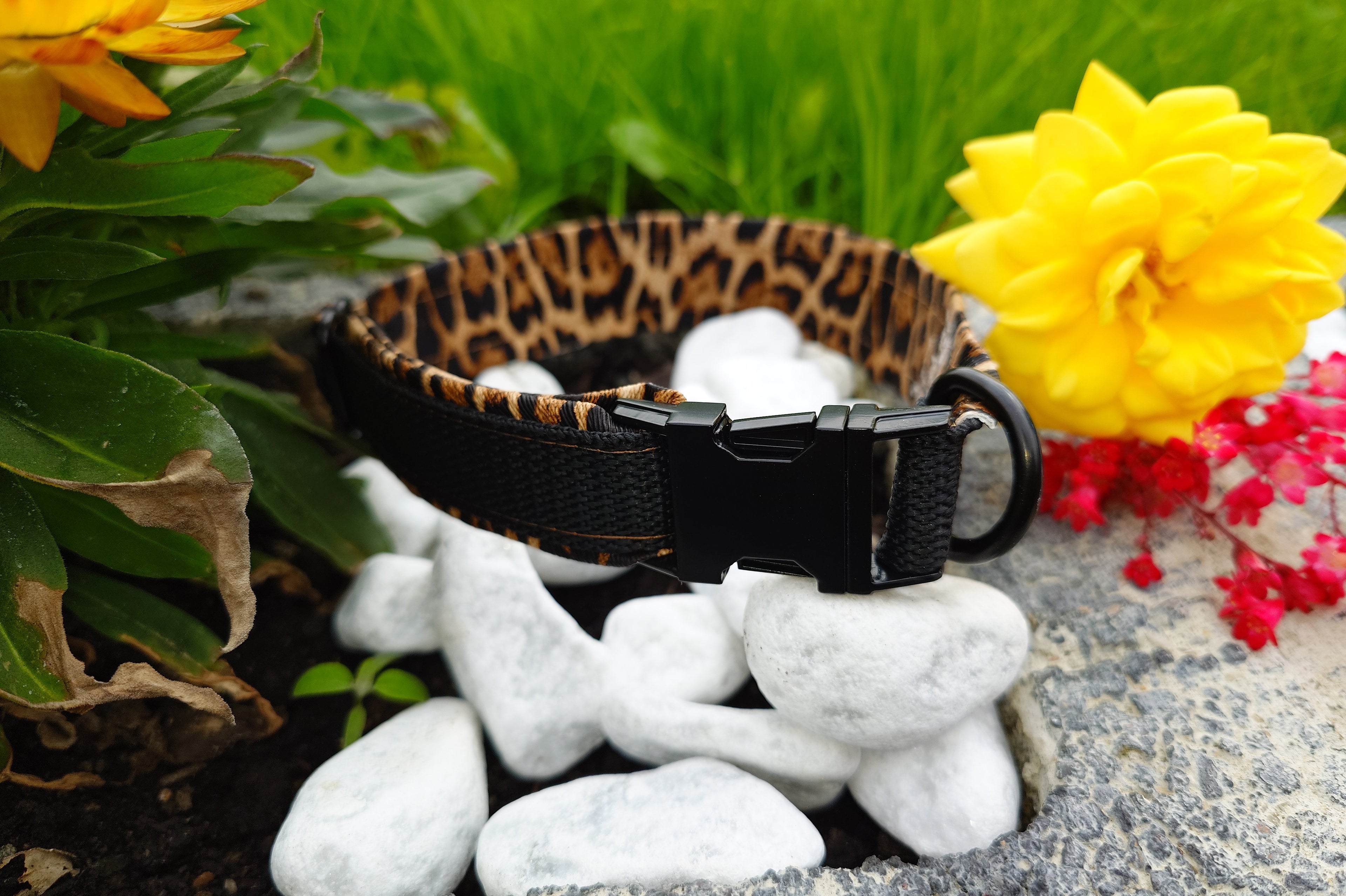 Steckschnallenhalsband Hund  2cm Breit + Personalisierung