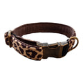Steckschnallenhalsband S Leo "Comfort" 2cm Breit