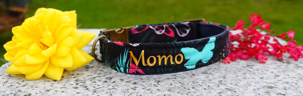 Steckschnallenhalsband Hund Sommeredition + Personalisierung