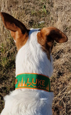 Hundehalsband mit Zugstopp "Comfort"