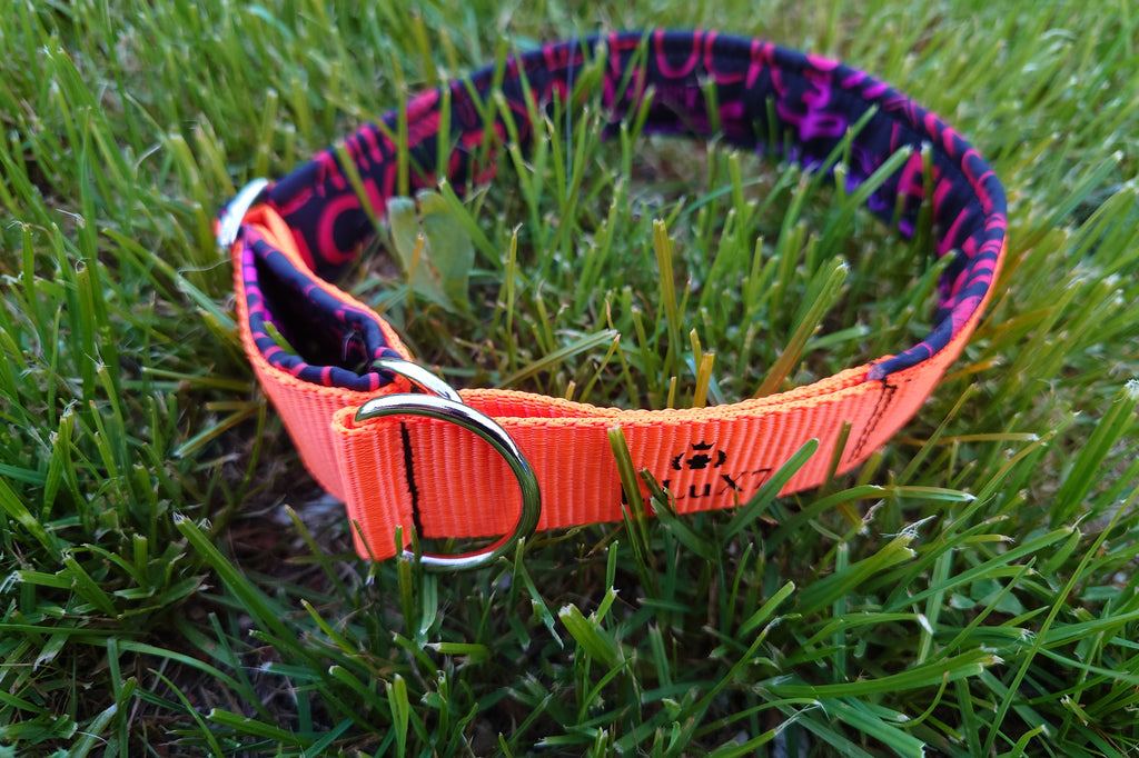 Zugstopphalsband "Keep Distance" 40-47cm Halsumfang