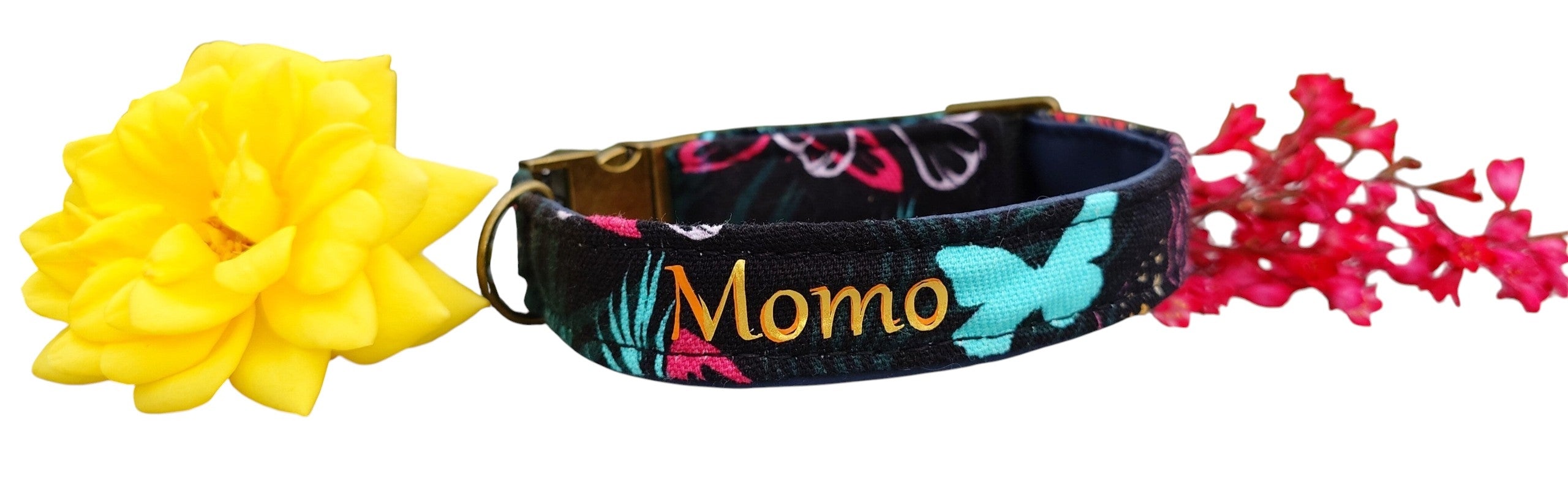 Steckschnallenhalsband Hund Sommeredition + Personalisierung