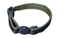 Halsband Katzen mit Breakawayschnalle 1cm Breit