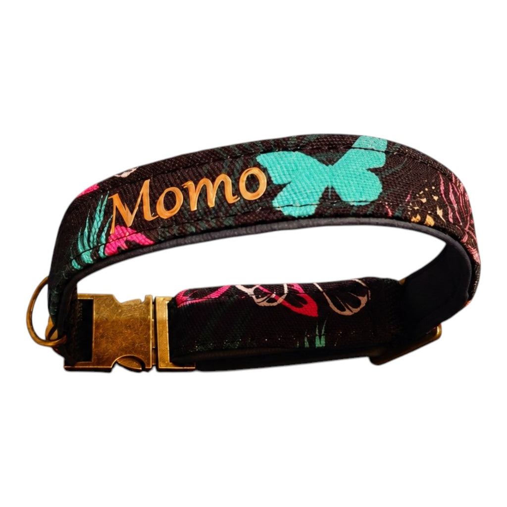 Steckschnallenhalsband Hund Sommeredition + Personalisierung