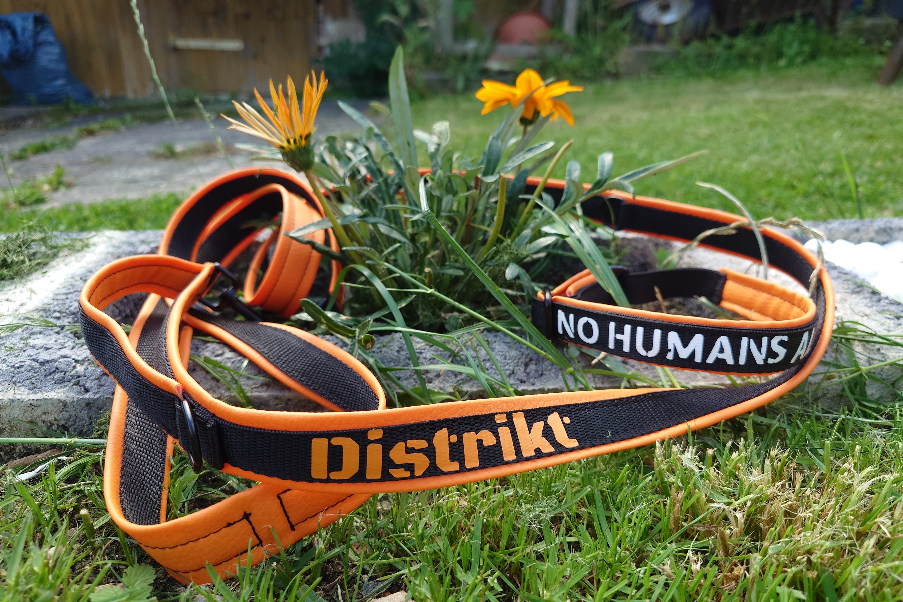 3-Punkt Leine Gurtband mit Handschlaufe + Personalisierung