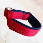 Zugstopphalsband "Aktiv" +Personalisierung