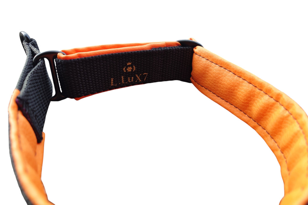 Hundehalsband mit Zugstopp "Comfort"